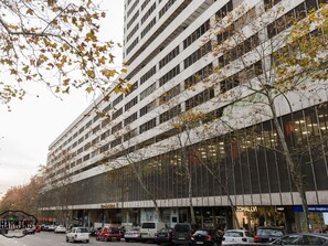 Exterior - Eurobuilding 2 Luxury - Spectacular views (Madrid)