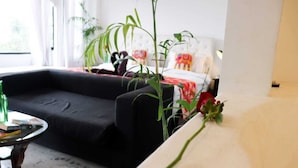 Suite superior