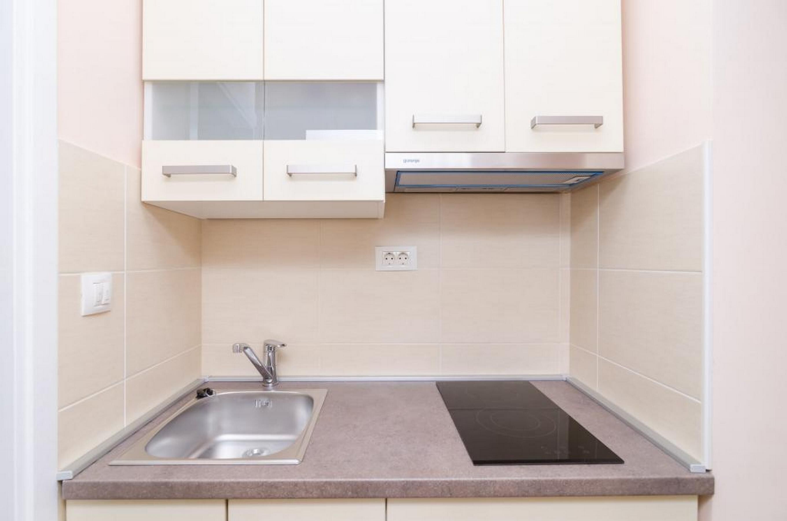 Apartment (One-Bedroom Apartment - Lena) | Private kitchen | Fridge, microwave, stovetop, electric kettle