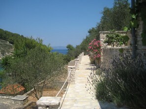 Huis (Two Bedroom Stone House with Terrace) | Exterieur