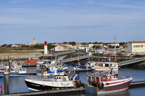 Marina - Spacious house in the Oleron region, in a quiet location, within walking distance of the beach and shops. (Saint-Pierre-d'Oléron)