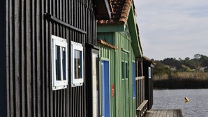 Eksteriør