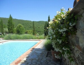Alberca al aire libre 