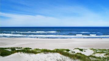 Beach nearby, fishing