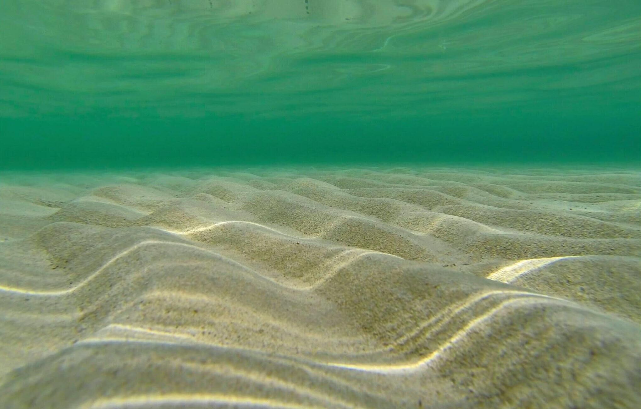 An underwater view of a sandy seabed with undulating patterns.