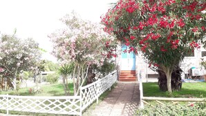 Ein Weg führt zu einem Gebäude, an einer Seite eine weiße Hecke und an der anderen ein Baum mit roten Blüten.