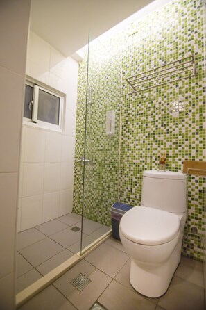 Regadera, amenidades de baño gratuitas, secadora de cabello, pantuflas 