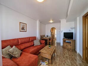 Televisor 