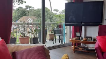 Una televisión, un reproductor de DVD, libros, una biblioteca de música