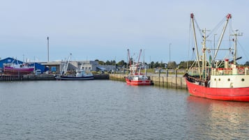 Marina/club náutico