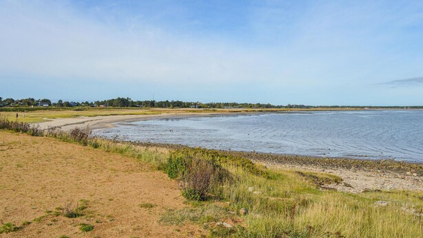 A coastal landscape with a sandy beach, grassy areas, and a calm sea.
