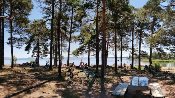 A campsite with picnic tables, bicycles, and a view of a lake.