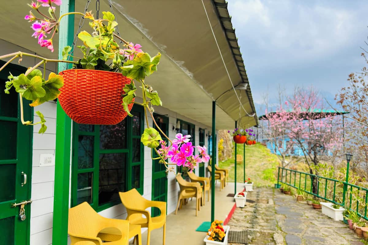 A covered outdoor seating area with chairs and hanging flower baskets.
