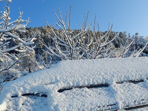 Wintersport/Ski