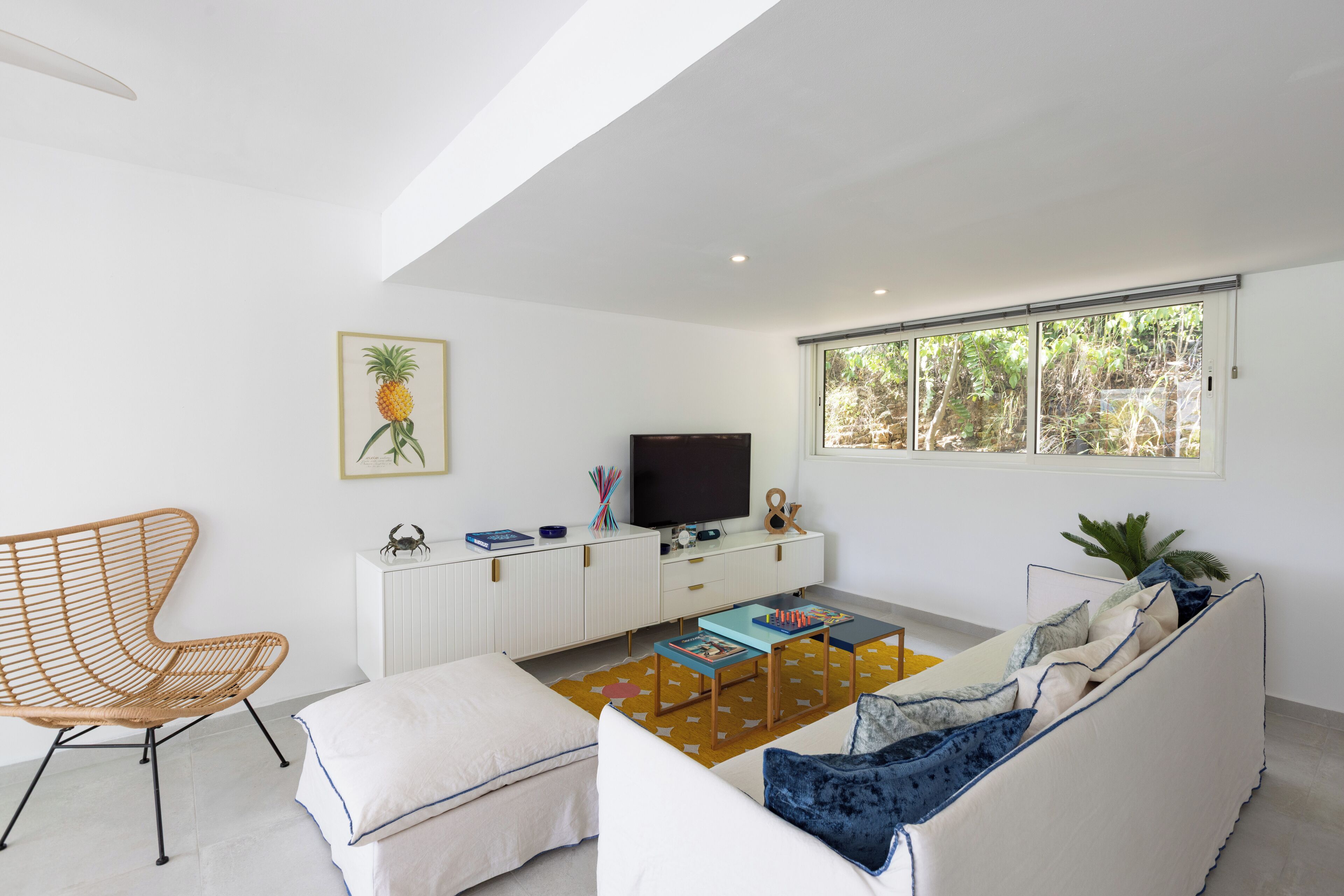 Smart TV, DVD player, books, video library