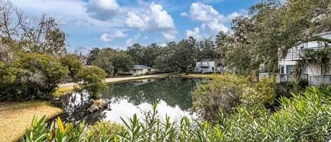 A serene pond surrounded by lush greenery and residential buildings.