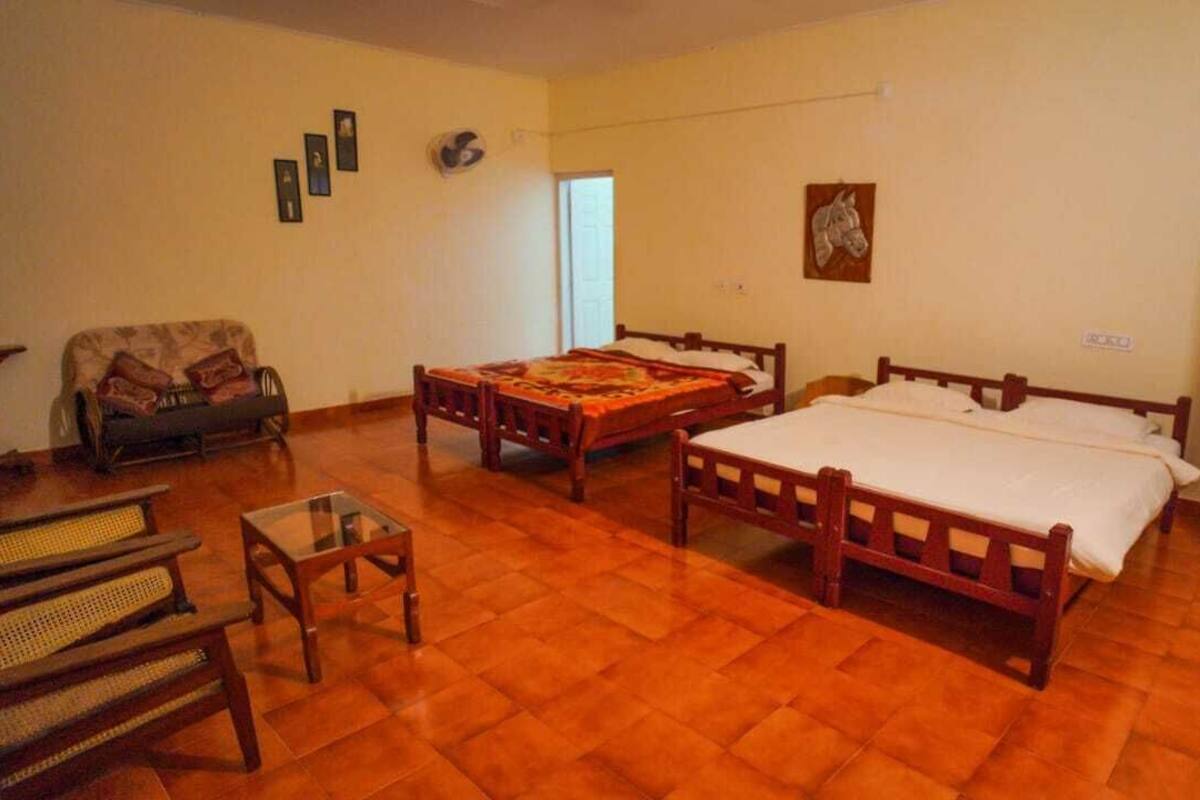Habitación cuádruple económica | Ropa de cama hipoalergénica, muebles diferentes y escritorio