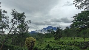 经济四人房 | 客房景观