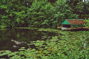 Un étang paisible, parsemé de nénuphars, et une petite construction en bois surmontée d’un toit vert.