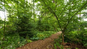 Un jardin arboré avec un chemin de gravier.
