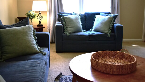 A living room with a blue sofa, two green pillows, a small table, and a woven basket. - Spacious Townhouse in the ❤ of Fayetteville (Fayetteville)
