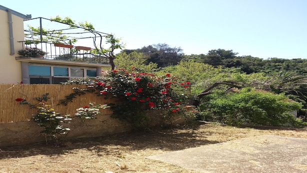 A residential area with a house, a balcony with a pergola, and a garden with red flowers. - Rooms Brezak - Double Room with Shared Kitchen (Lastovo)