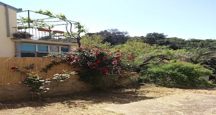 Rooms Brezak - Double Room with Shared Kitchen