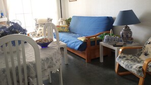 Una televisión, una chimenea, un reproductor de DVD, libros