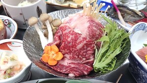 Restaurant - Hoshito Midorino Romankan (Ogawa-mura)