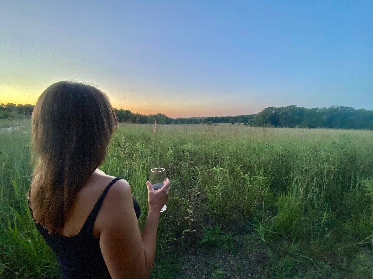 Iemand staat in een veld, de lucht is helder.