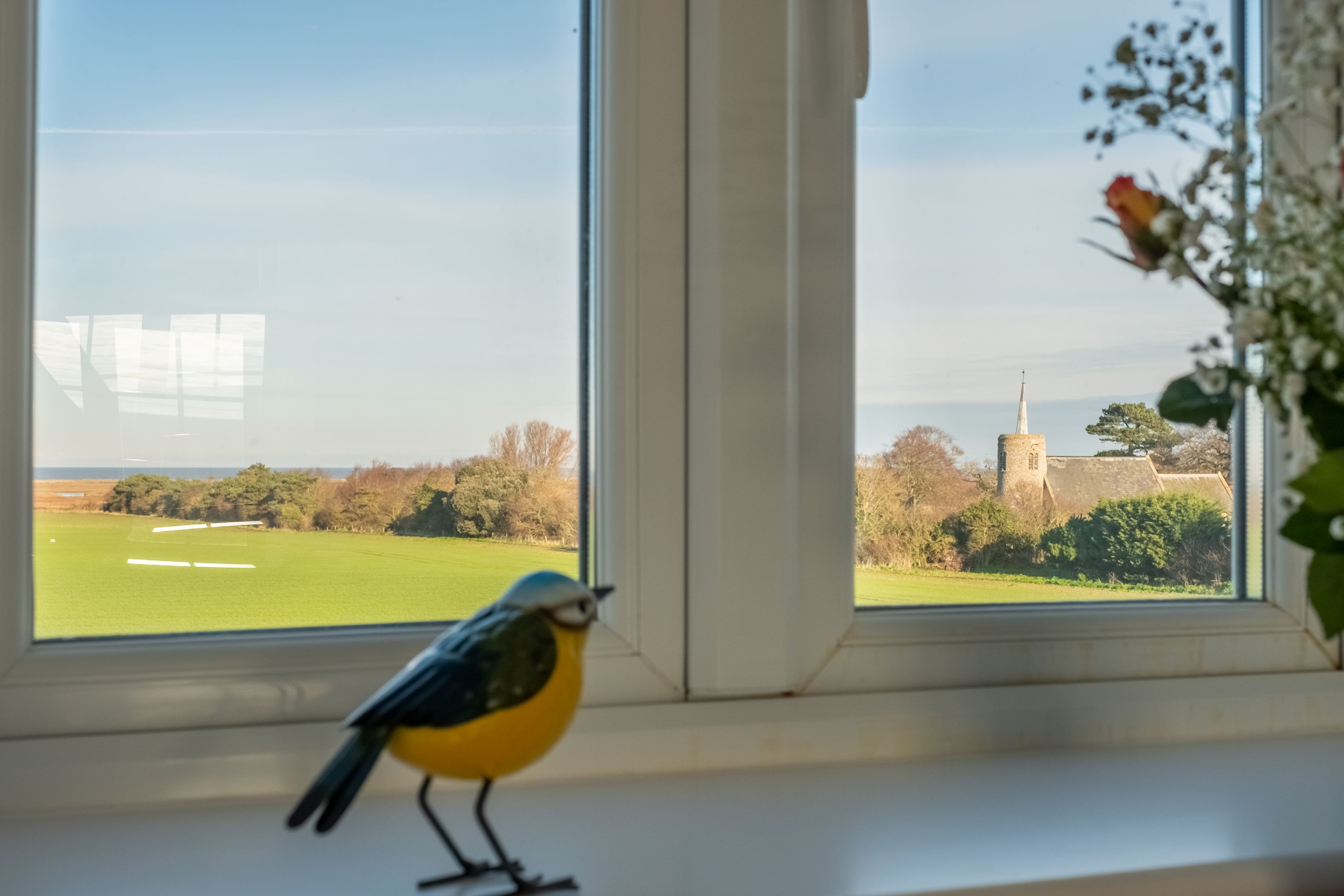Un pájaro en un alféizar con vistas a un campo verde y un edificio a lo lejos.