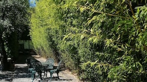 A garden with a pond, benches, and bamboo plants. - Casa da Eira - Casa Rural com Piscina Privada (Oliveira (São Pedro))