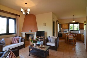 T élévision, cheminée, lecteur de DVD, livres