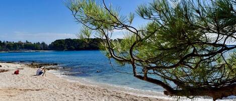 Beach nearby, sun loungers