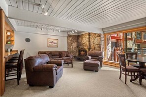 Fireplace, books, video library