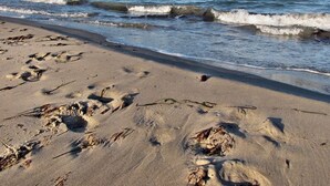 A sandy beach with footprints and seaweed. - Very spacious thatched house with lots of comfort on a large plot in a peripheral location (Glowe)