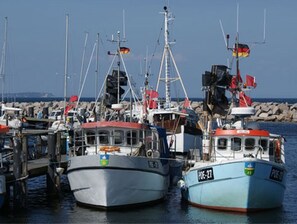 Marina - Very spacious thatched house with lots of comfort on a large plot in a peripheral location (Glowe)