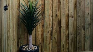 A wooden fence with a potted plant in front. - Charming 1-bed Apartment in Peebles (Peebles)