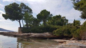 Een rotsachtige kustlijn met bomen en een helder uitzicht op het water.
