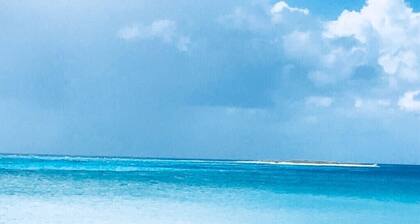 Private Luxury 2 bedroom condo Ocean view, King Bed, 2 queen beds, free wifi