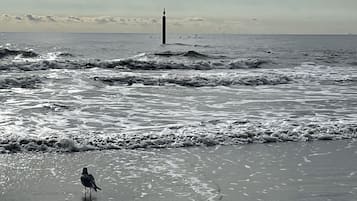 Vlak bij het strand