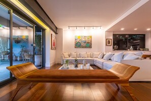 TV connectée, cheminée, lecteur de DVD, livres