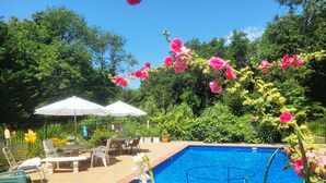 A swimming pool with a surrounding patio area, including chairs and umbrellas. - NEW VICTORIAN GEM IN GREENPORT (Greenport)