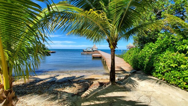 A beach with a wooden walkway, palm trees, and boats in the water.