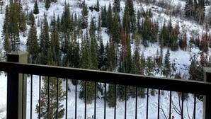 Un paysage enneigé avec une piste de ski, des arbres et une vue lointaine d’une ville.