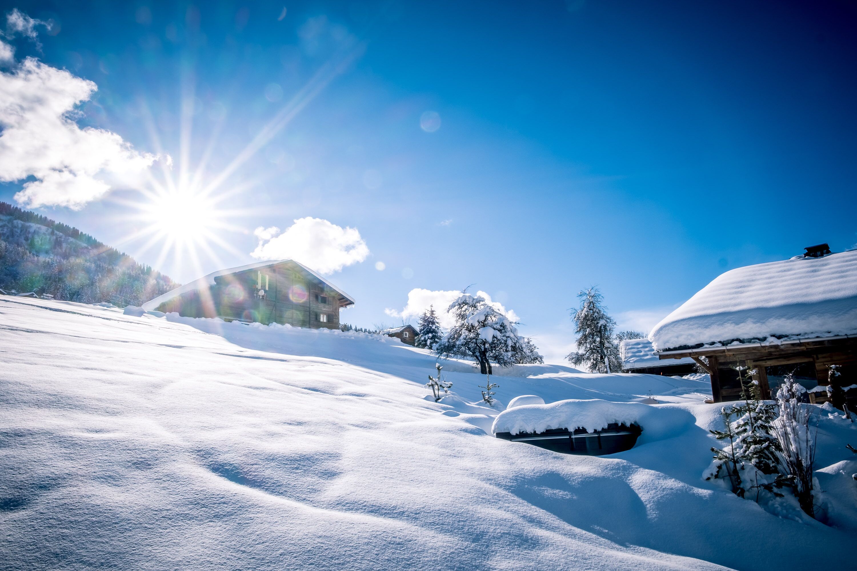 A snow-covered landscape with a wooden cabin and a house in the background.