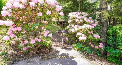 Dog-friendly getaway with amazing mountain views & fast WiFi - walk to slopes
