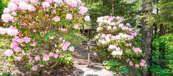 Dog-friendly getaway with amazing mountain views & fast WiFi - walk to slopes