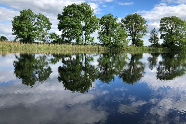 A calm lake with reflections of trees and a clear sky. - Spacious four-bed property located in Banagher outside Birr. (Banagher on the Shannon)