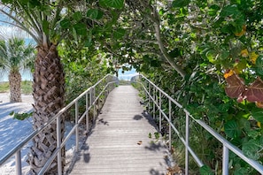Stroll along the winding pathway surrounded by lush greenery and palm trees.